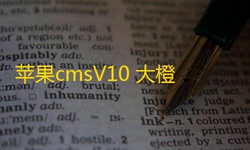 无畏契约雷达辅助苹果cmsV10 大橙子主题3.1.6完美修复版